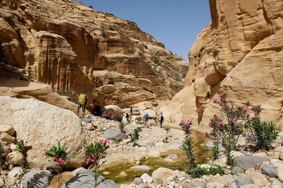 Dag 7: Dana - Petra