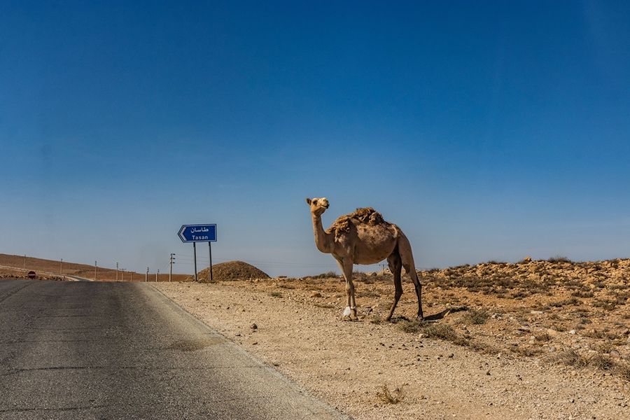 King's Highway (Koningsweg) in Jordanië