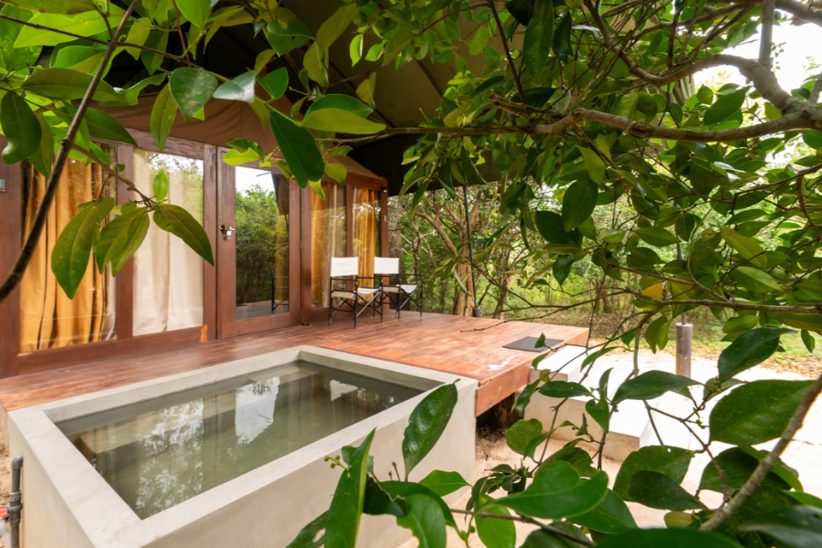 Wild Trails Yala by Mili