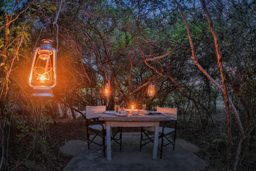 Wild Trails Yala by Mili