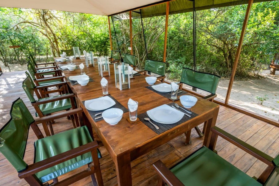 Wild Trails Yala by Mili