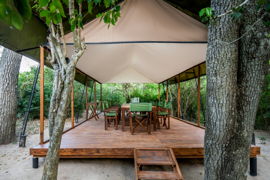 Wild Trails Yala by Mili