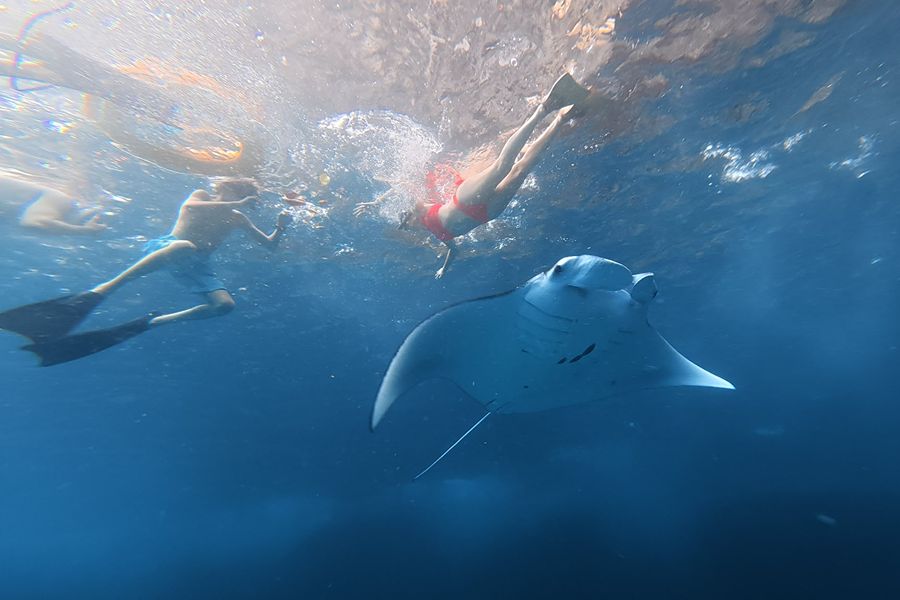 Dag 14: Lembongan