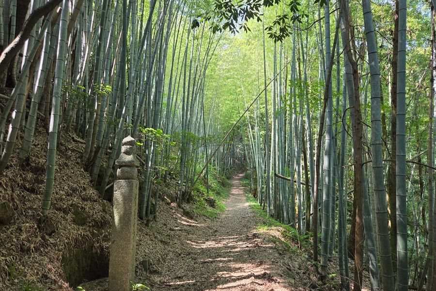 Choishimichi Trail naar Mount Koya
