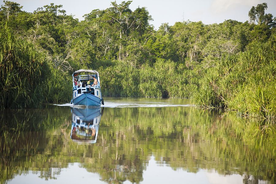 Klotok-boot Kalimantan
