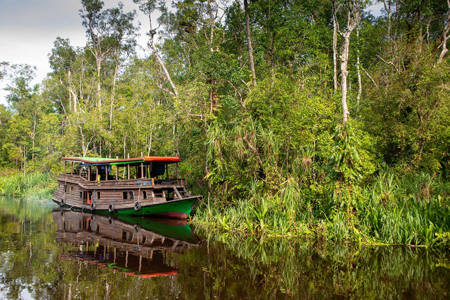 Klotok-boot Kalimantan