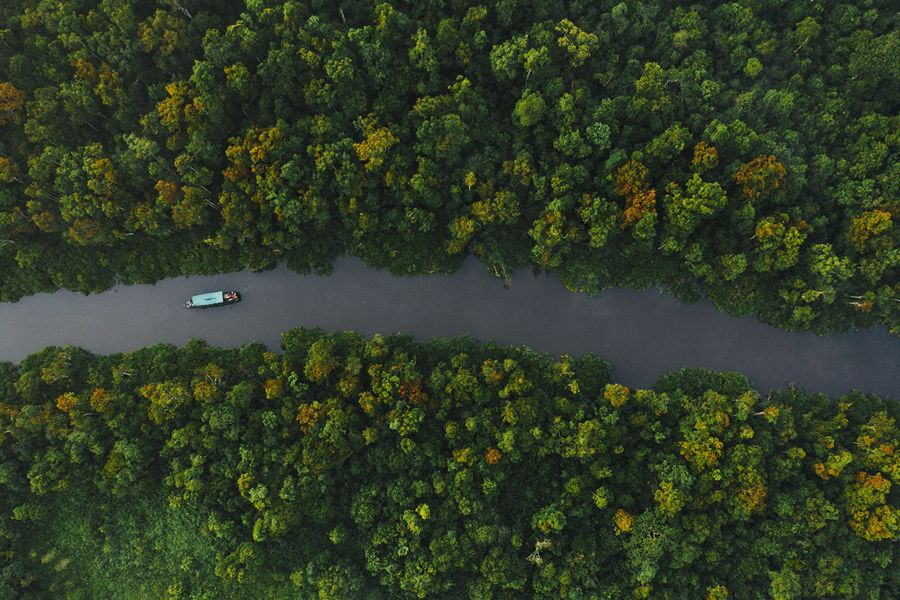 Tanjung Puting National Park