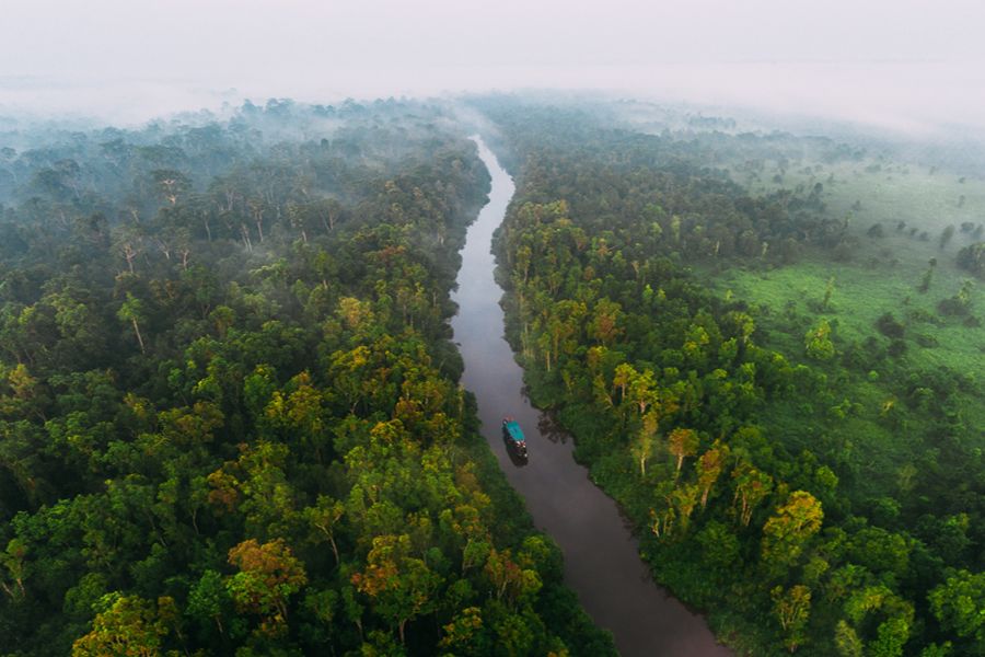 Tanjung Puting National Park