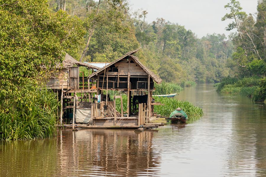 Tanjung Puting National Park