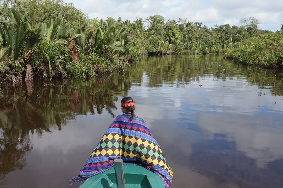 Tanjung Puting National Park