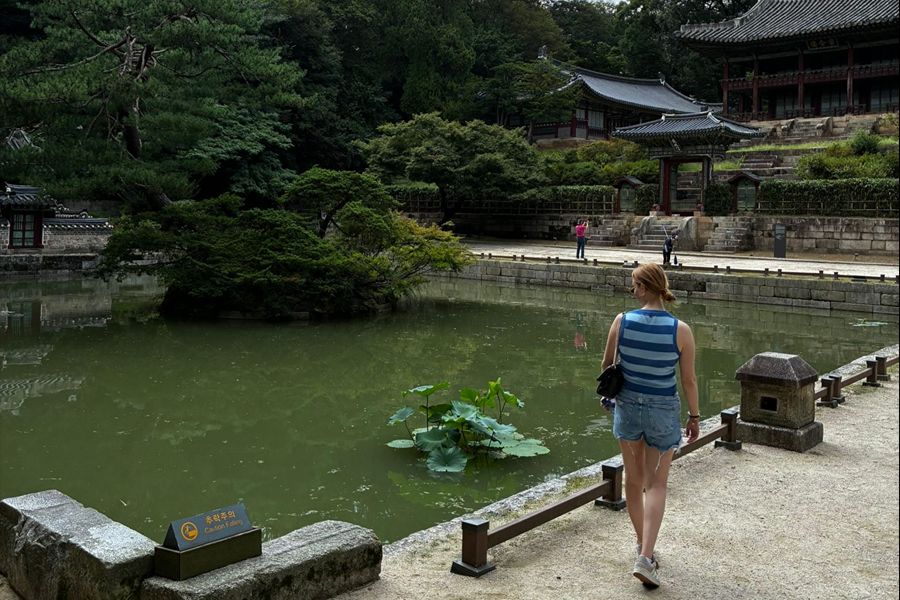 Collega Zenna in Zuid-Korea