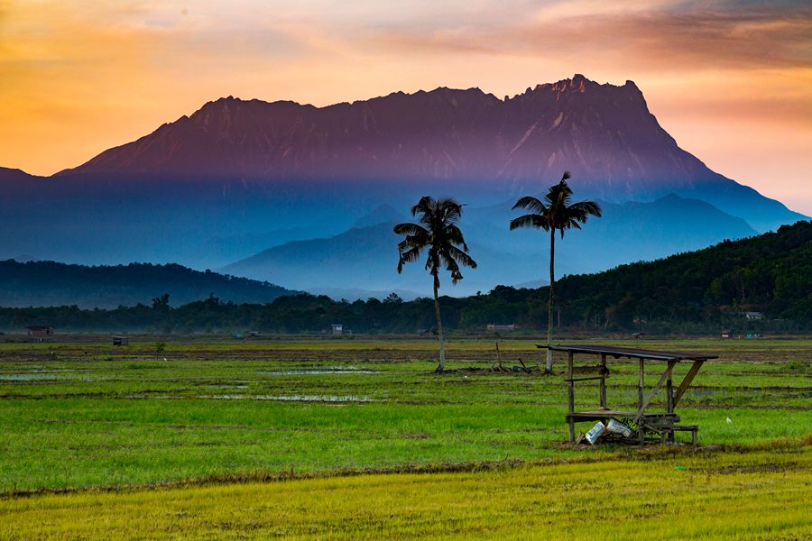 Sangkir Village, Sabah