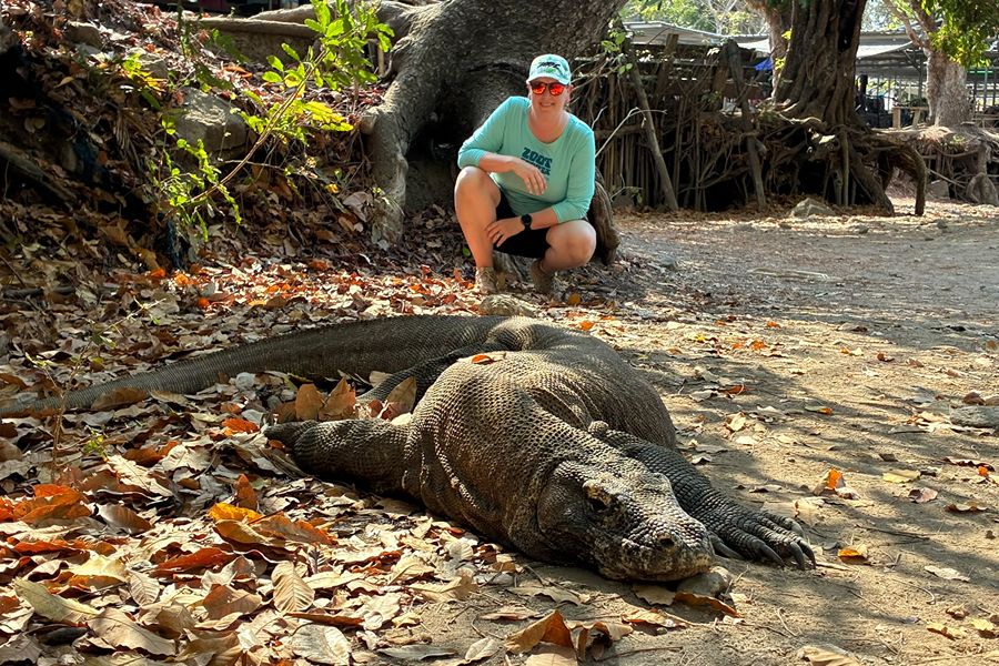 Komodovaraan in Indonesië. Foto Wendy van Marm