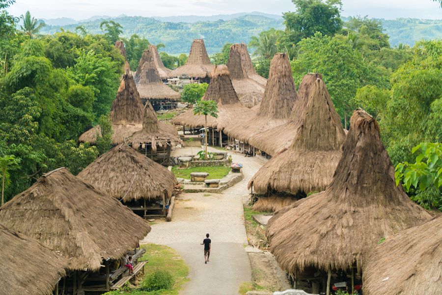 Traditioneel dorp op Sumba