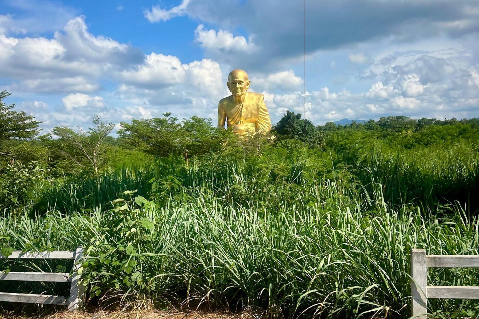 Khao Yai National Park. Foto van Mare Bakker